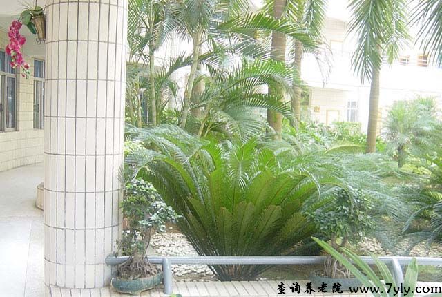 广州市老人院慈云康复大楼一角