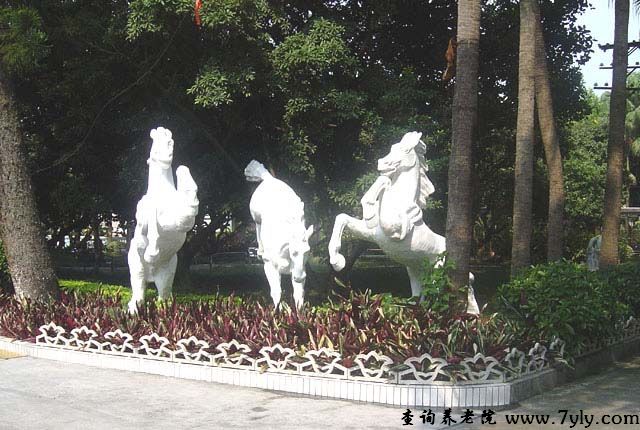 广州市老人院公园内一角：三骏嬉闹