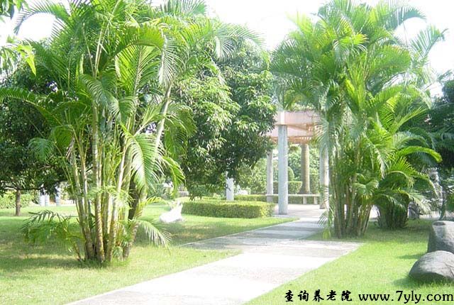 广州市老人院益寿公园