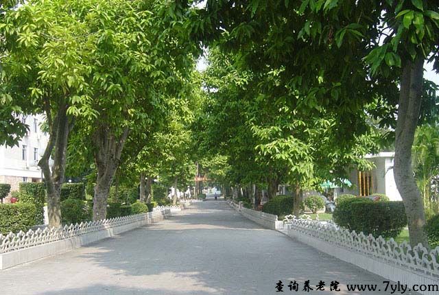 广州市老人院玉兰大道
