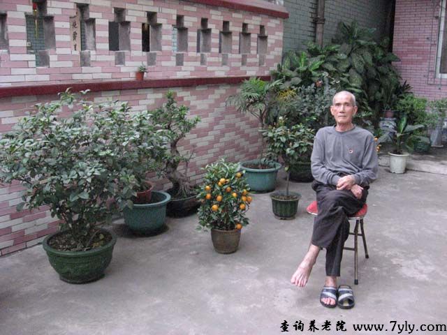 广州市东塱老人护养院老人边乘凉边赏花