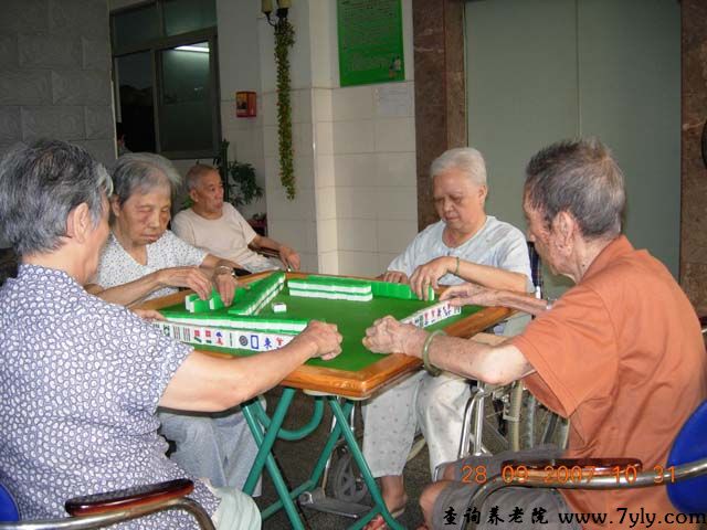 广州市金桥养老院老人们正快乐地打麻将