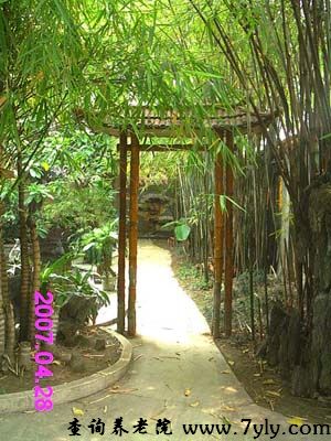 广州市芳村颐康托老院小竹林