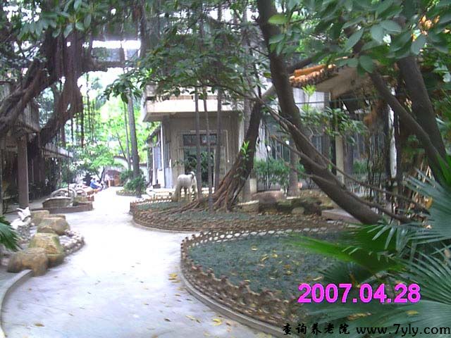 广州市芳村颐康托老院绿树掩映