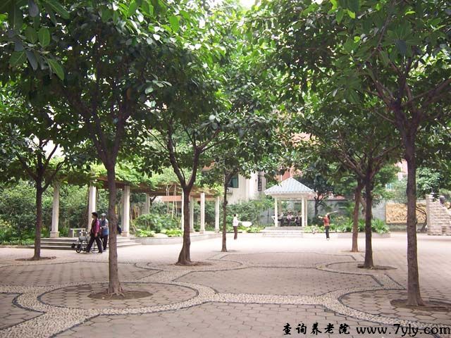 广州科华长者怡居中心楼底下的公园