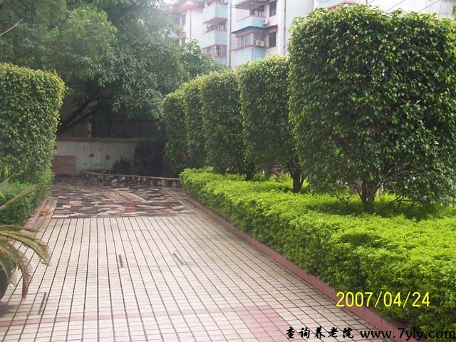 广州市康泰养老院花园