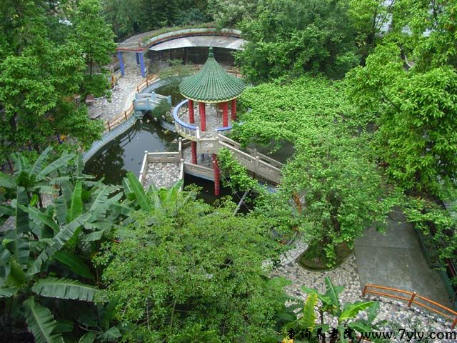 广州市天河区侨颐养老院龙洞分院花园鸟瞰图