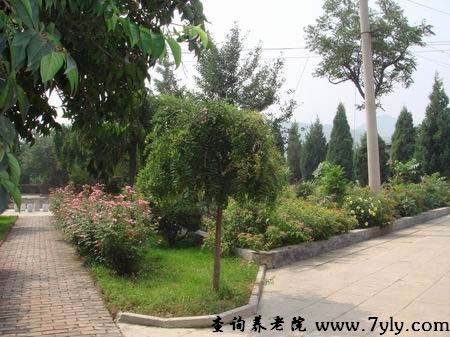北京市爱德敬老院花园
