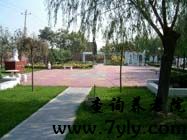 北京市天华福寿全敬老院林荫小路
