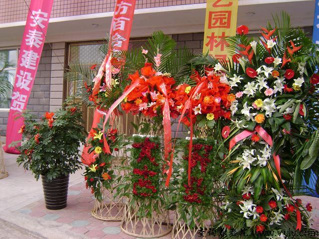 大连阳光养老中心大连阳光养老中心开业盛况