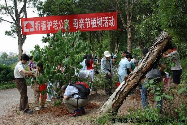 广州祈福护老公寓母亲节植树活动