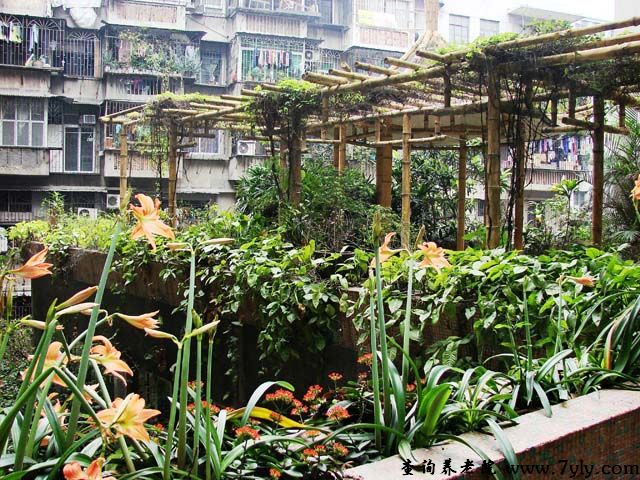 广州市海珠区怡福苑老人托养中心花园
