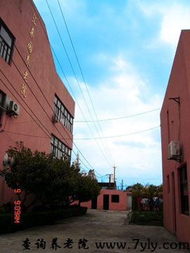 上海汇亲园养老院幽静的小径