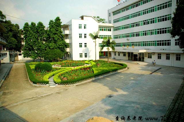 广州市红棉老年中心封面
