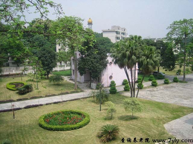 广州市红棉老年中心院内风景