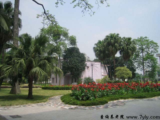 广州市红棉老年中心院内风景