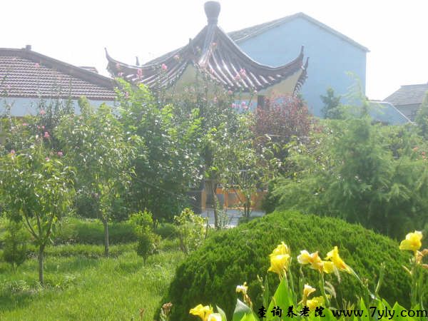 上海市九亭敬老院敬老院花园