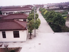 上海市闵行区华漕敬老院院内风景