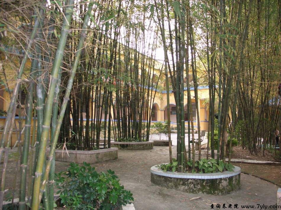 广州市东方护理中心竹林